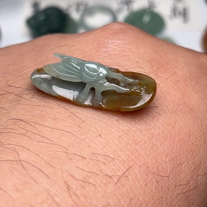 翡翠未镶嵌颈饰只了