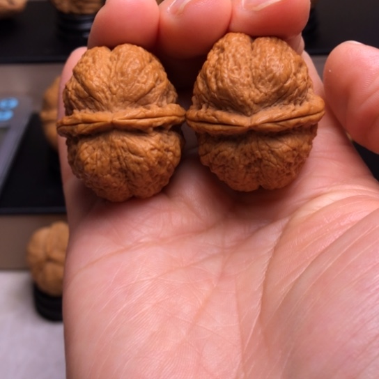 文玩核桃把件古树蚂蚁开背金蟾王20