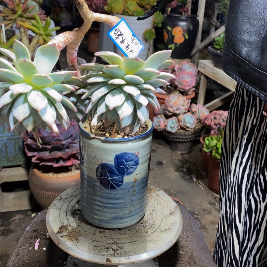 风****?hhhhhhhhhhhhhh