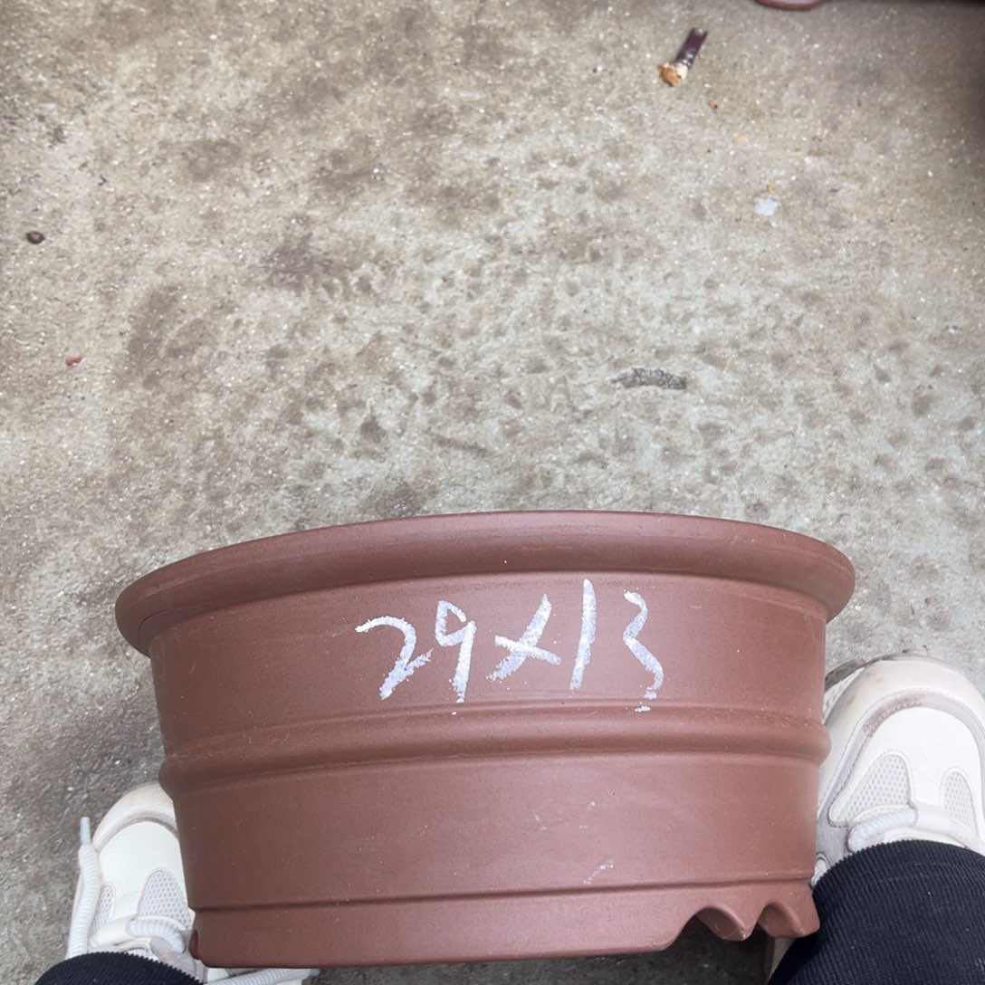 紫砂花盆盆景艺术