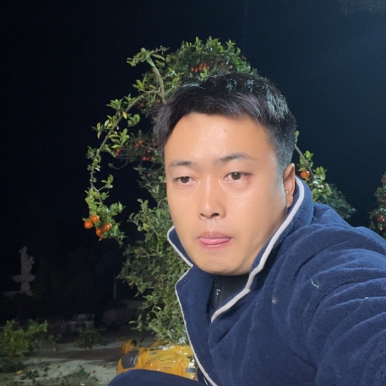 无花朵金弹子庭院原生品种