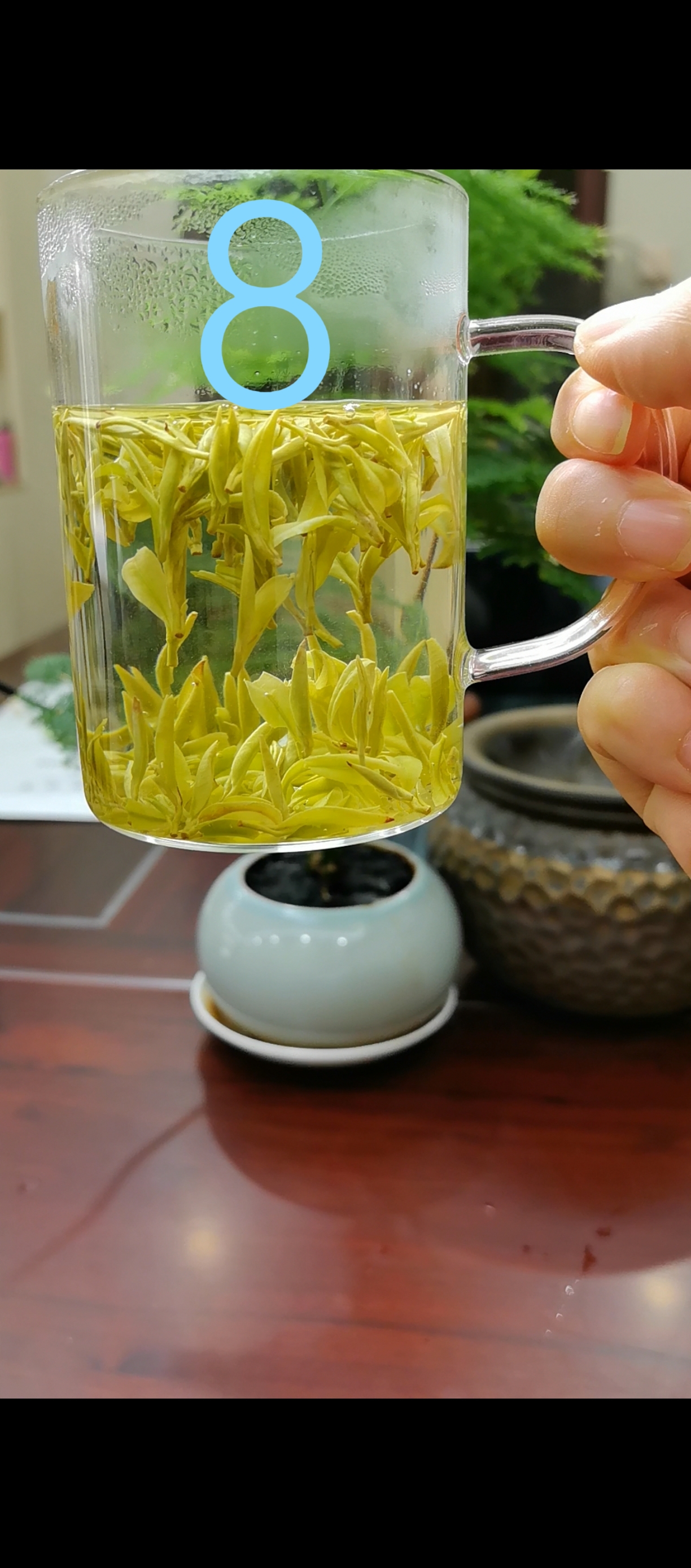 2025年安吉白茶手工水晶白茶鲜爽回甘甜润250g