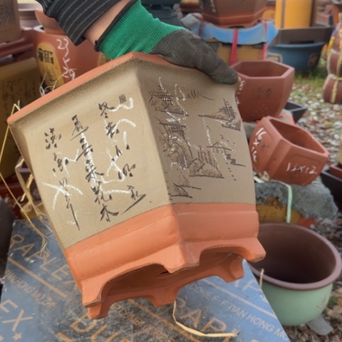 红陶紫砂花盆盆景栽