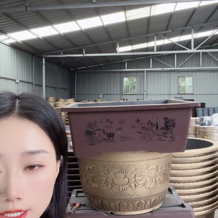 盆景40盆6个盆景60盆2个