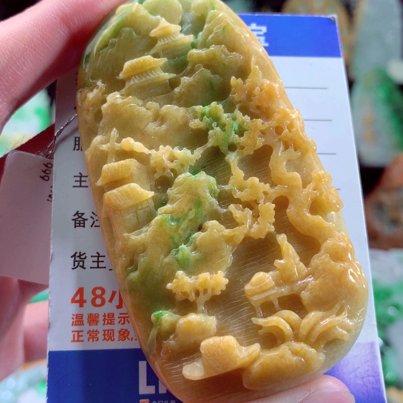 【闪购商品】翡翠颈饰未镶嵌挂件