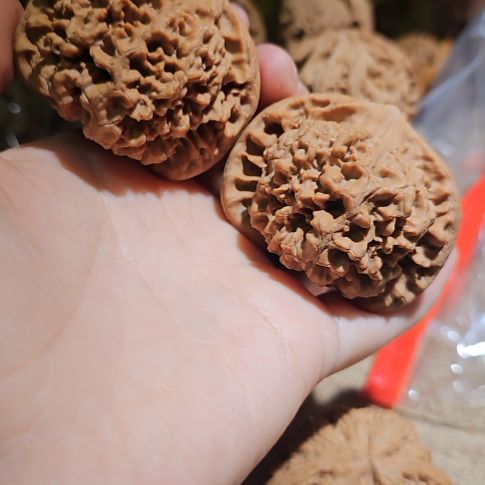 文玩核桃吊坠51龙鼎管帽子