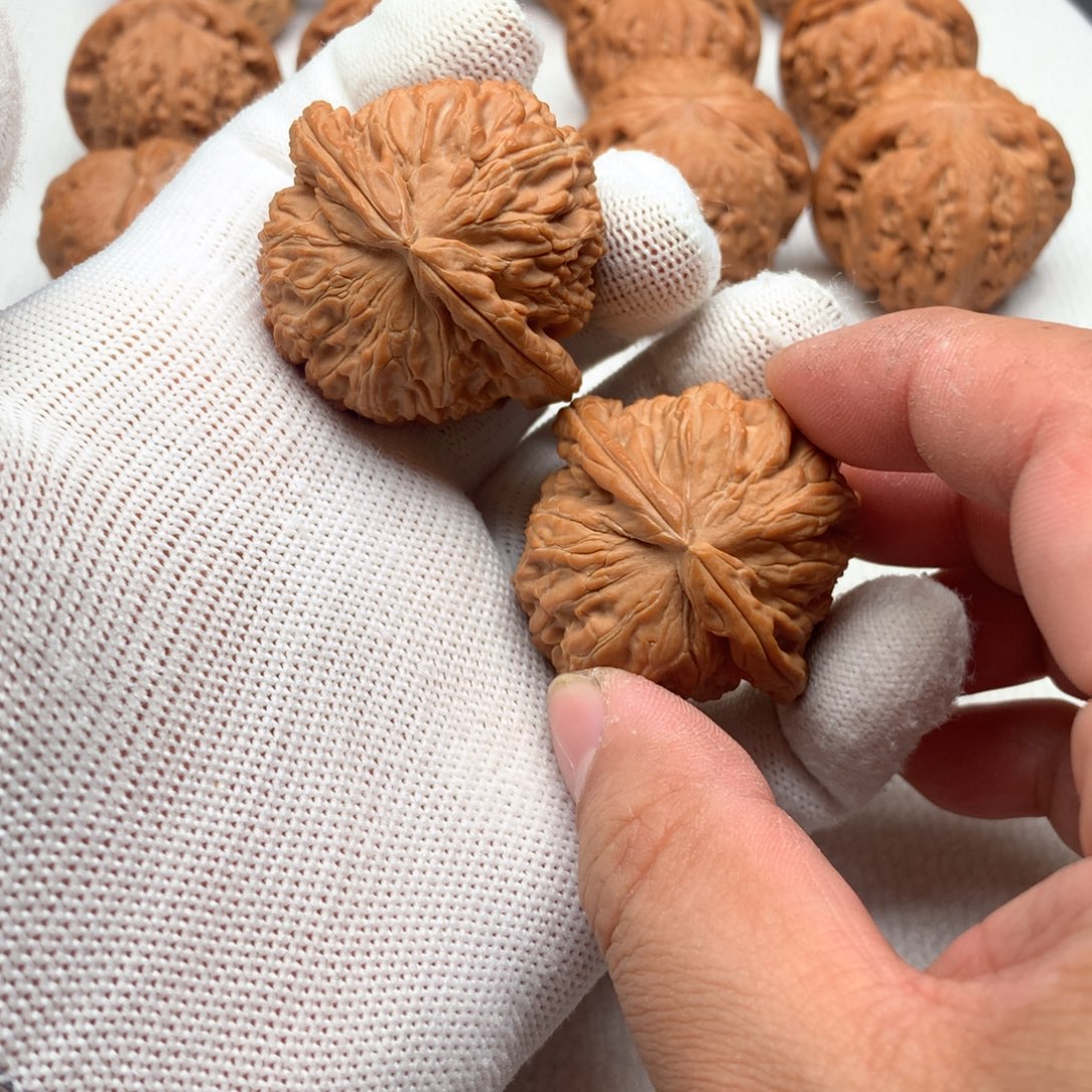 一***间核桃42尺全品白狮子