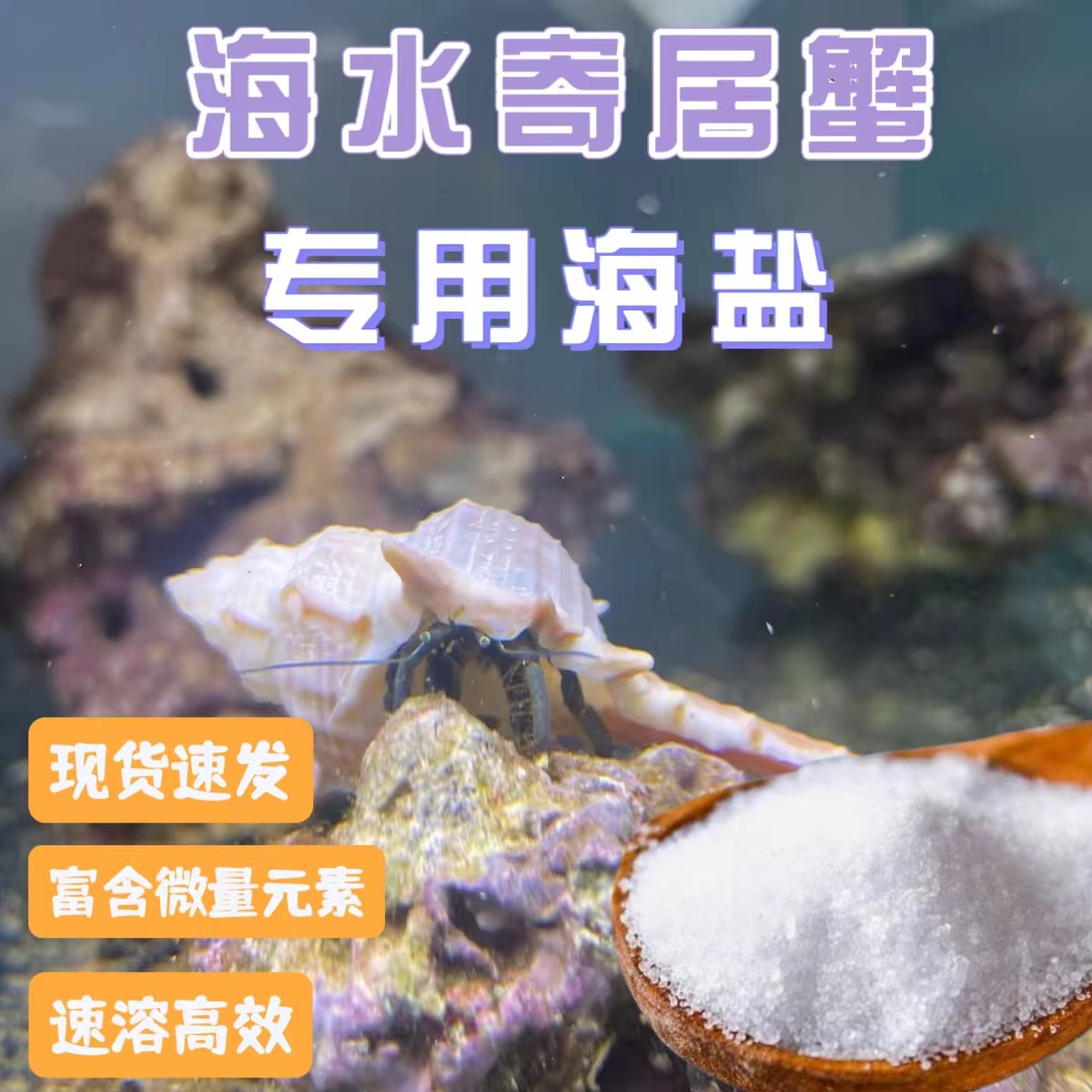 赶海寄居蟹海盐海水寄居蟹盐小包海水海洋生物盐免配比小袋批