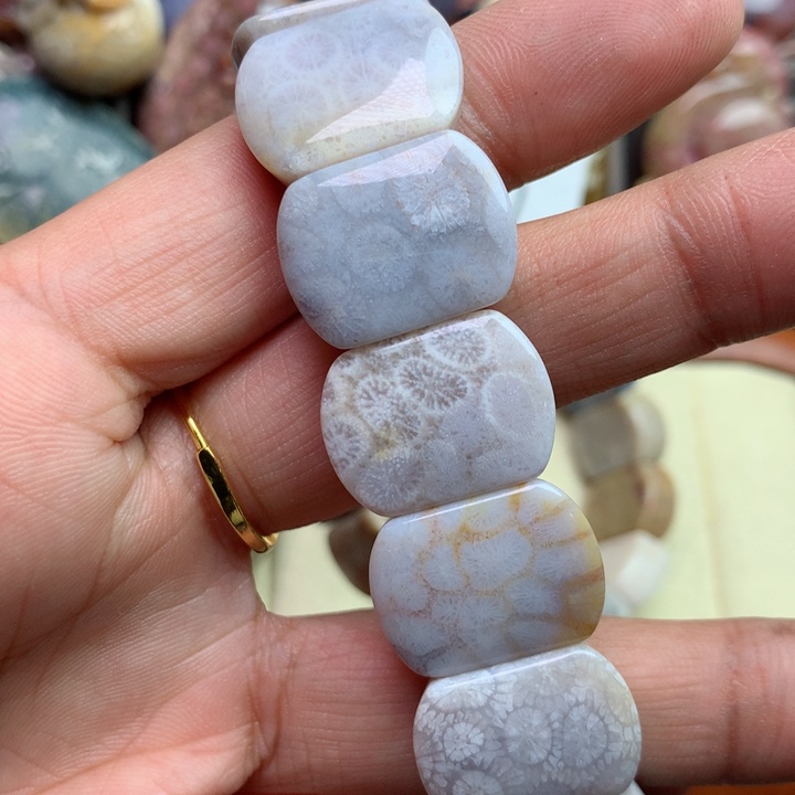 硅化珊瑚（珊瑚玉）颈饰未镶嵌