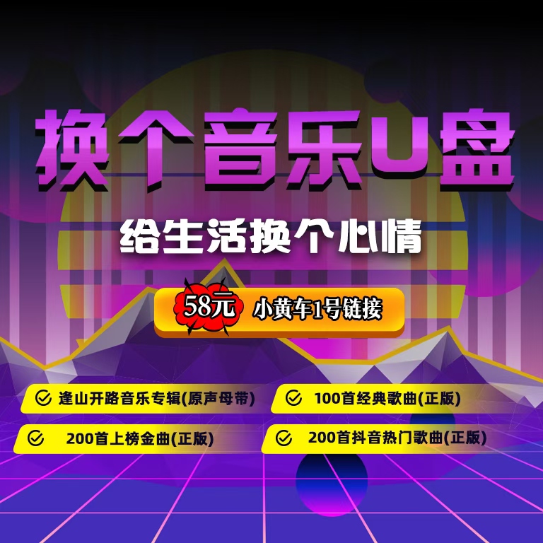 武子音乐专辑U盘