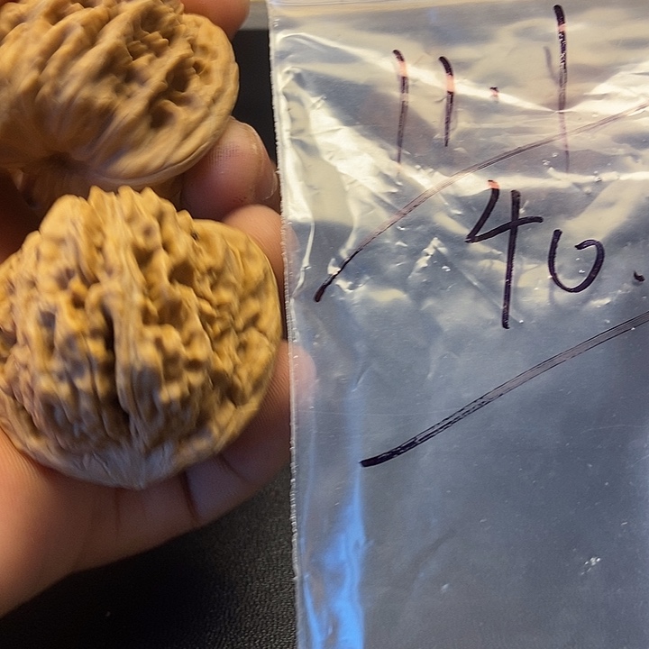 核桃十三号文玩手把件