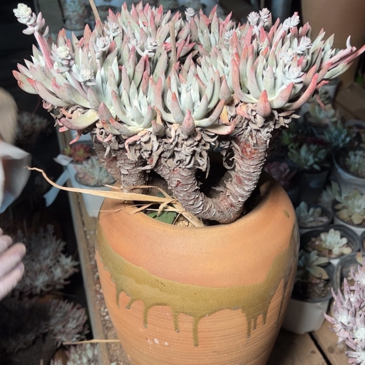 冬**雪1737哈哈哈哈哈哈哈哈哈