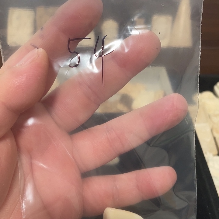 少***辉猛犸象牙其他天然猛犸牙雕刻品