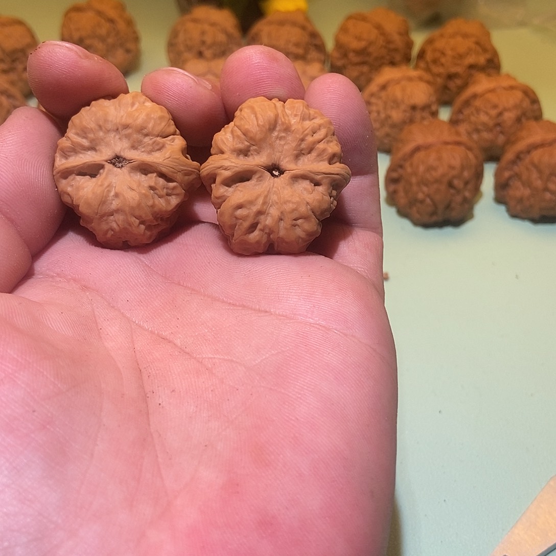 文玩核桃吊坠?**酱蛤蟆头33全品