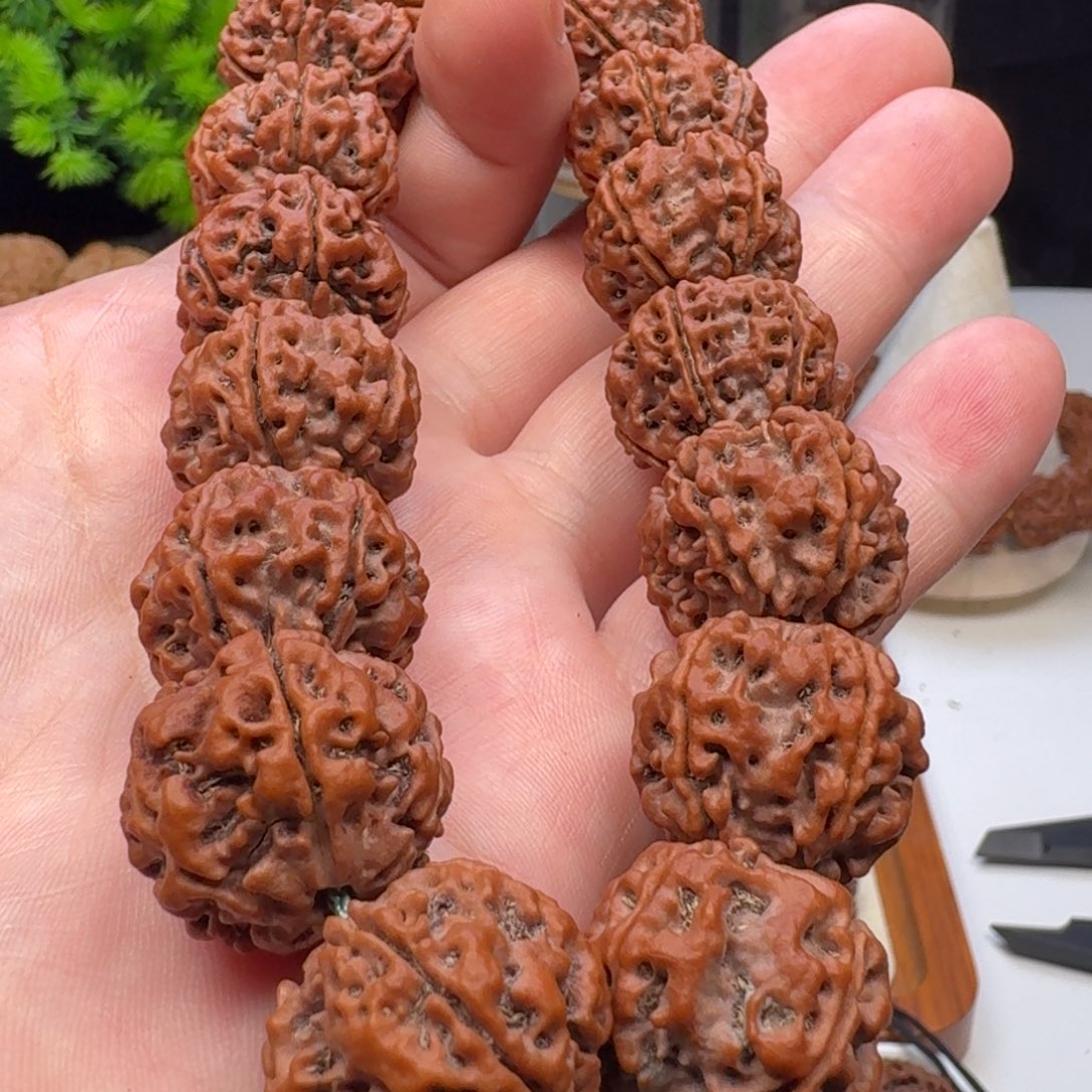 手串金刚菩提粗筋蜂窝双龙