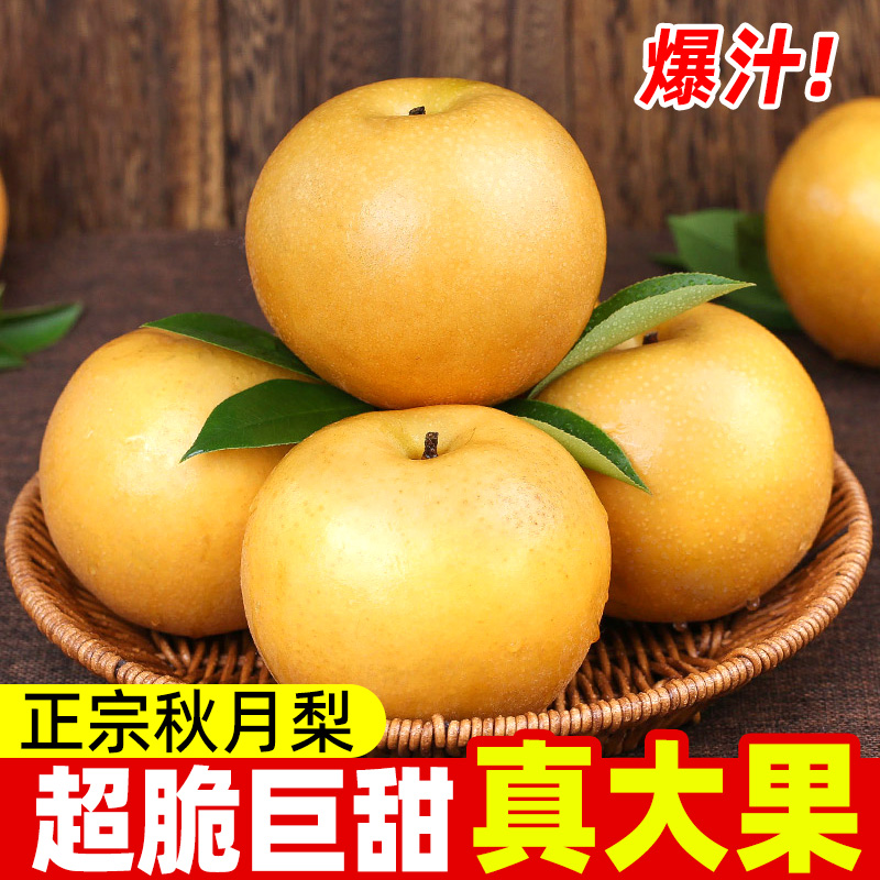 山东正宗秋月梨当季新鲜水果梨子脆甜多汁皮薄产地直发包邮