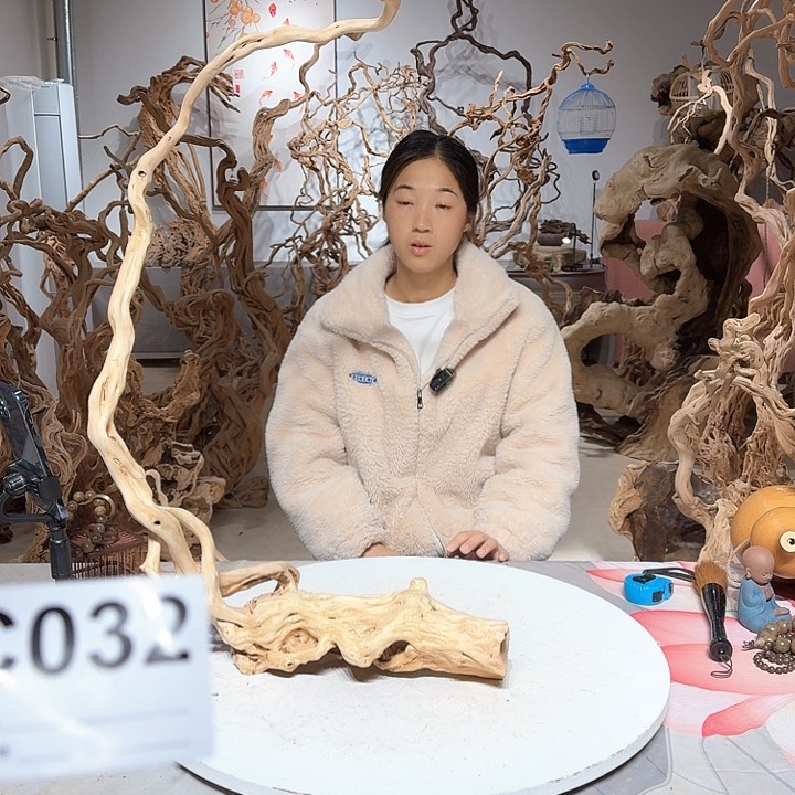 风车木（黑檀木）夜*