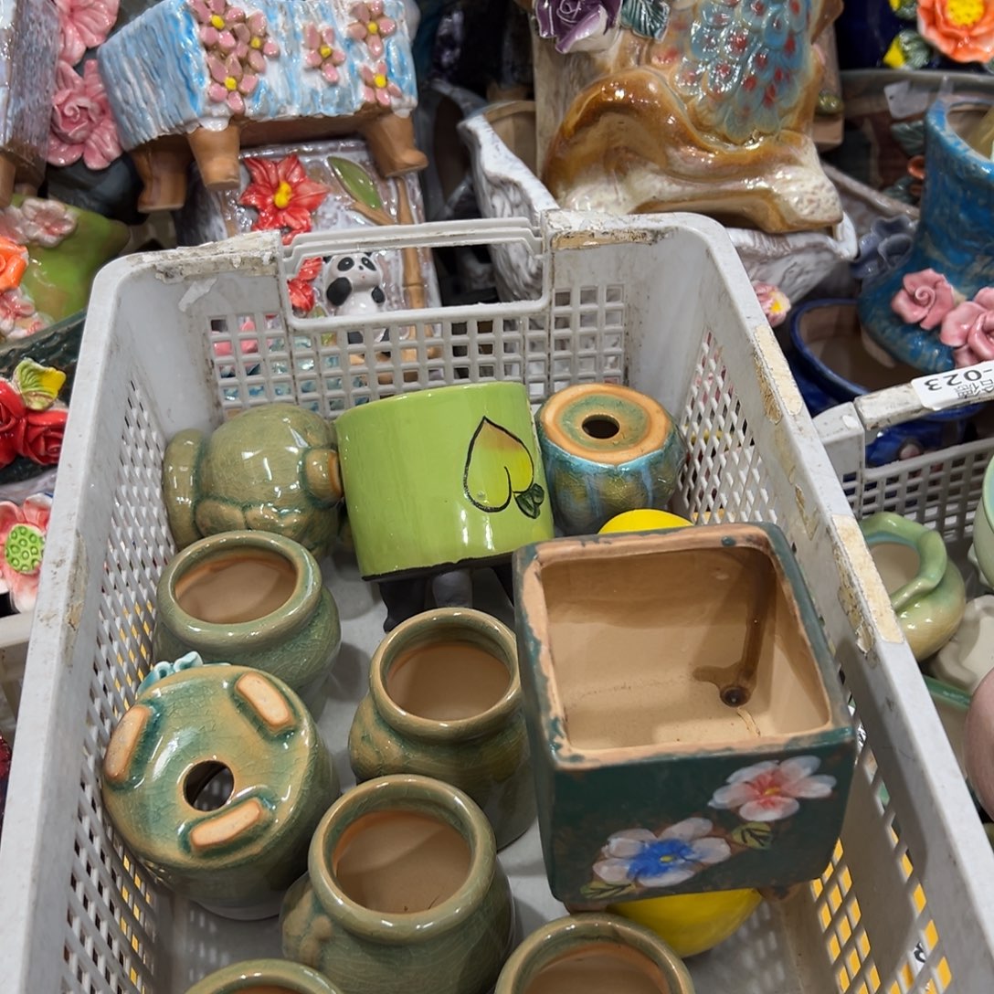 瑕疵2810 花盆拍满20元发货，退款拉黑