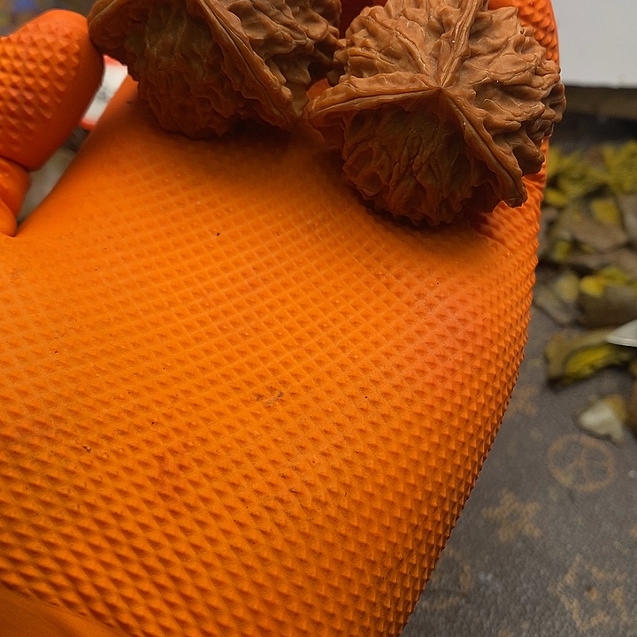 梅***帝梅八西三棱正奔啊