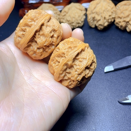 大叶紫檀（黑酸枝木类）澄*