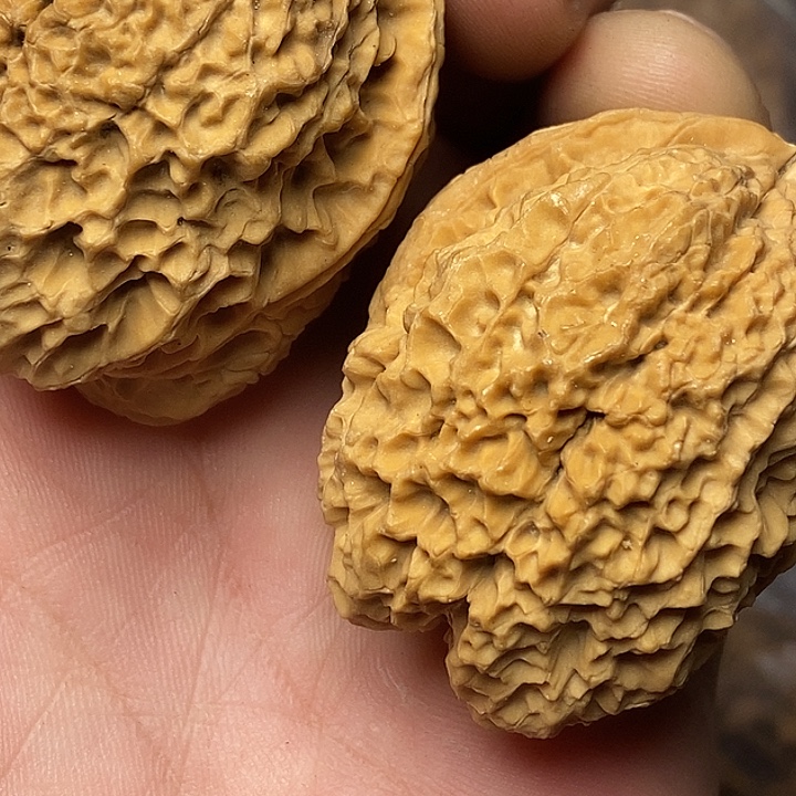 把件文玩核桃志成云铁文玩96