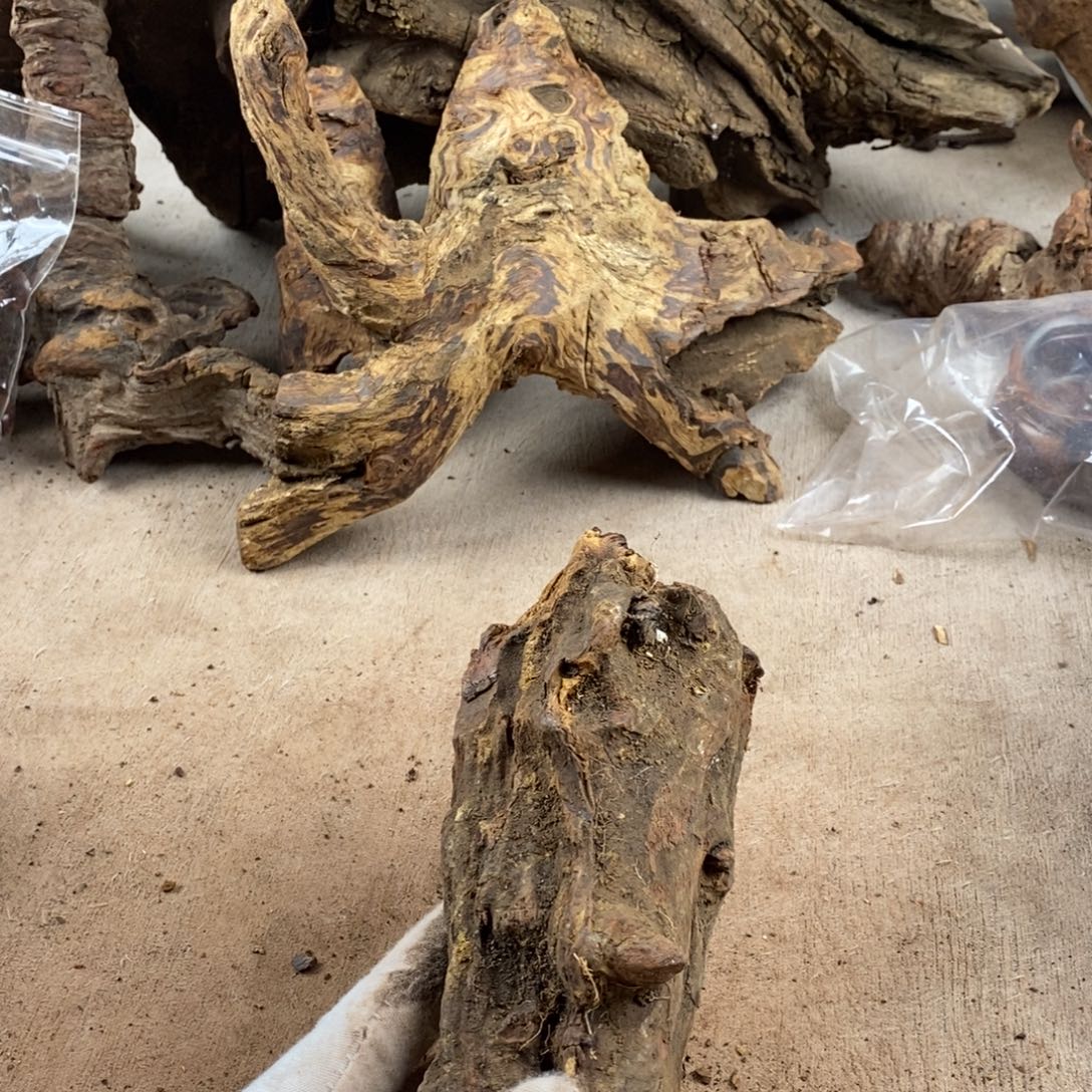 国***东黄花梨/降香黄檀降香黄檀黄花梨