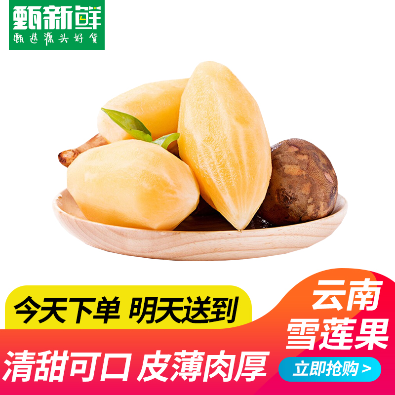 【京东次日达】云南高山雪莲果2.5kg装乌市直发-产自云南省
