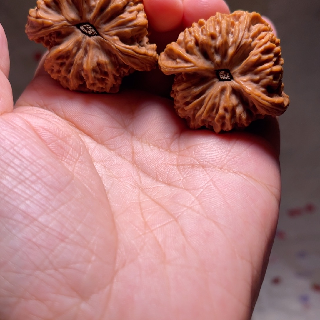 文玩核桃把件洪南疆