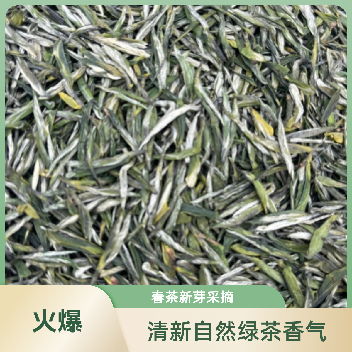 雅茗达【蒙顶雪芽】蒙顶山高山早春绿茶鲜爽甘甜毛尖玉露明前单芽头