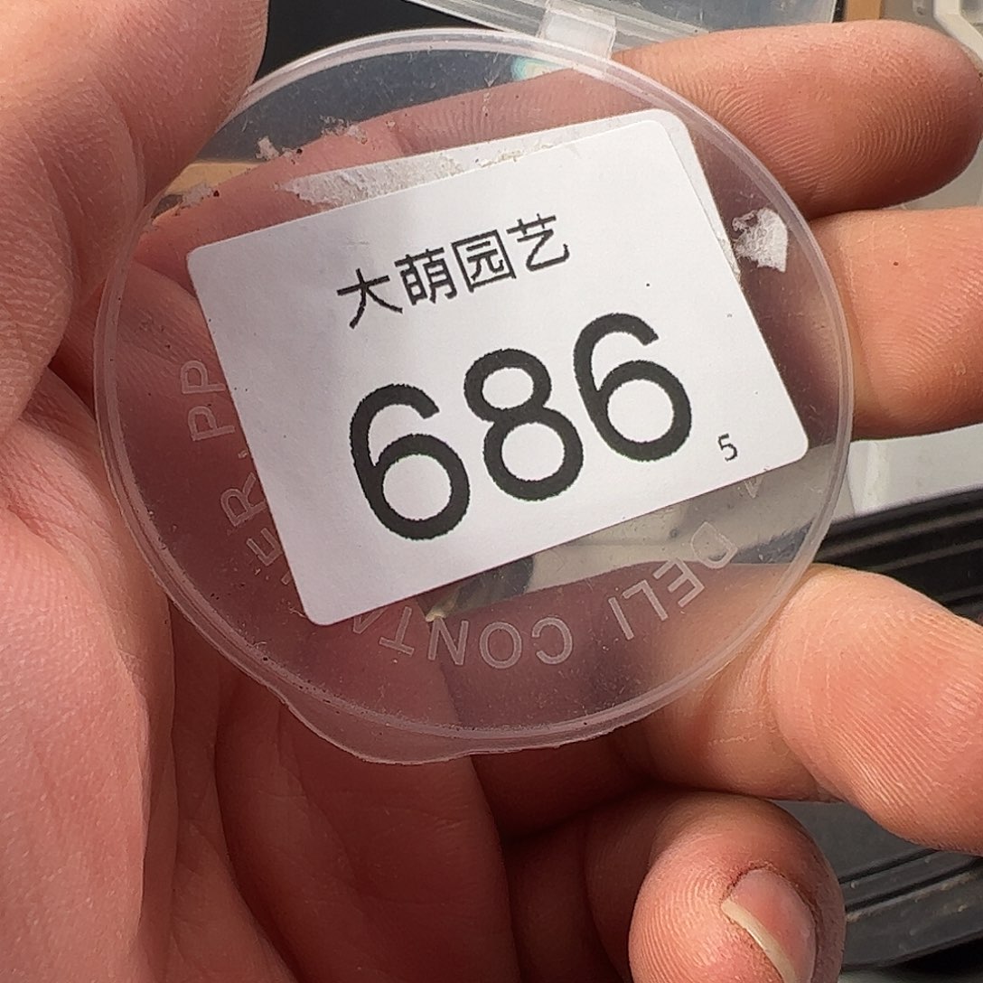 Y**九0000686 一物一拍……