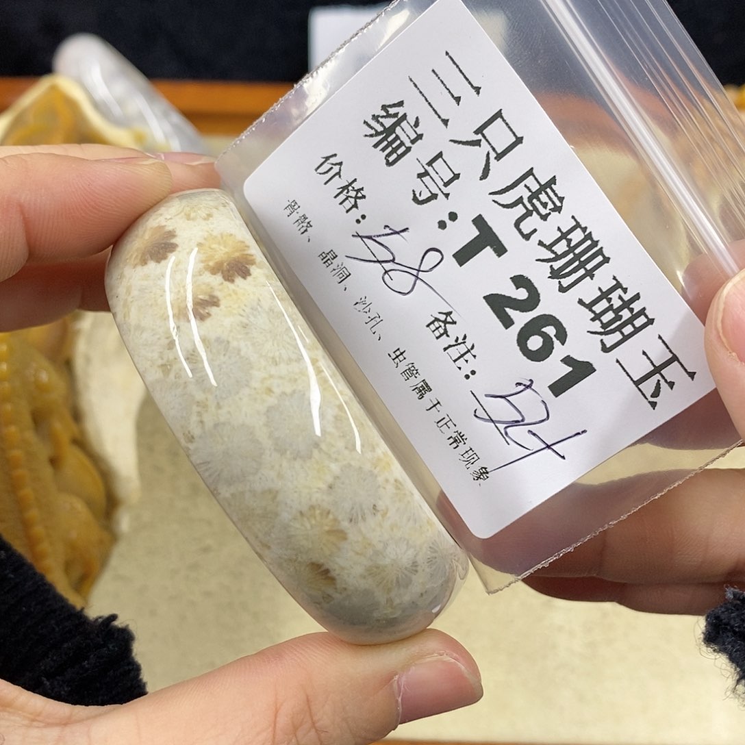 硅化珊瑚（珊瑚玉）1 未镶嵌皁**亓