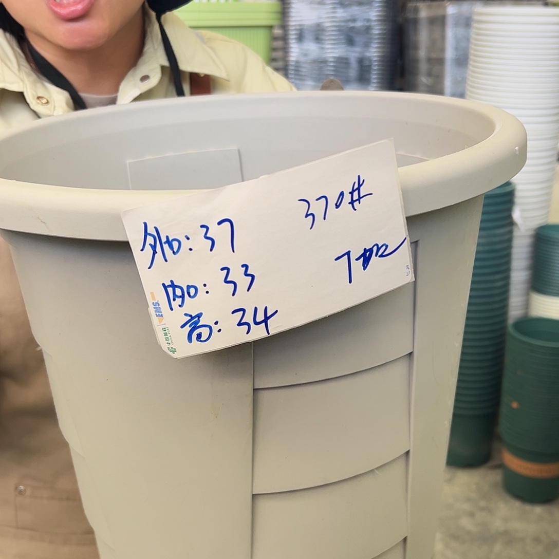 玫瑰370#灰白色4个无托