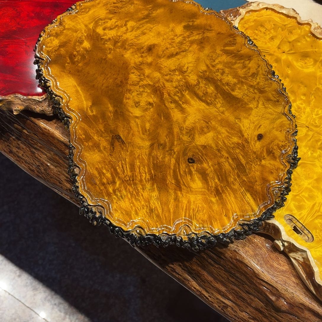 蝴****黄金樟啦啦啦啦啦