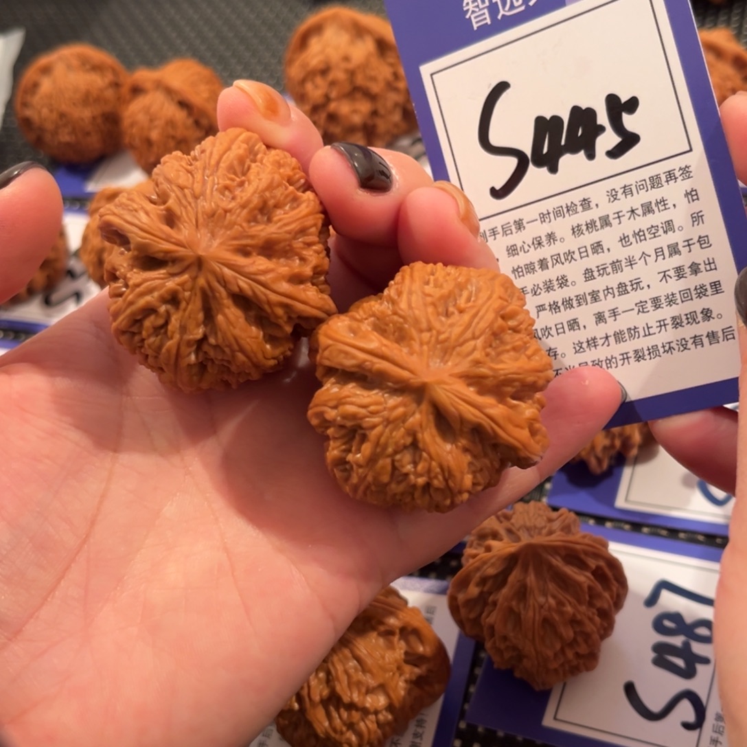 核桃S445号粗筋43尺