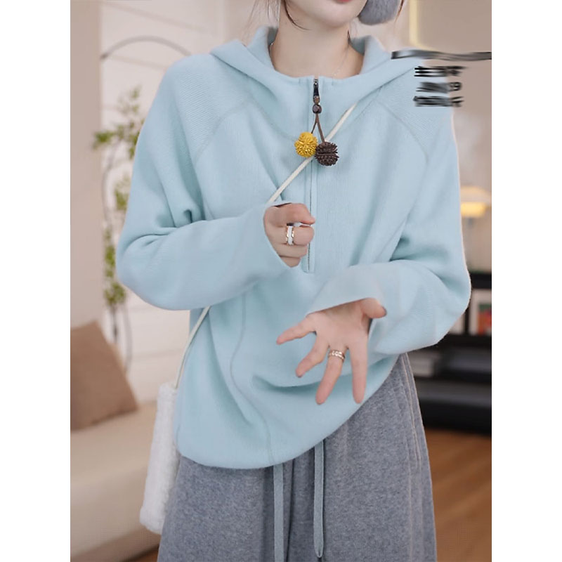 慵懒风立领连帽卫衣女2025冬季新款时尚宽松显瘦内搭打底减龄上衣