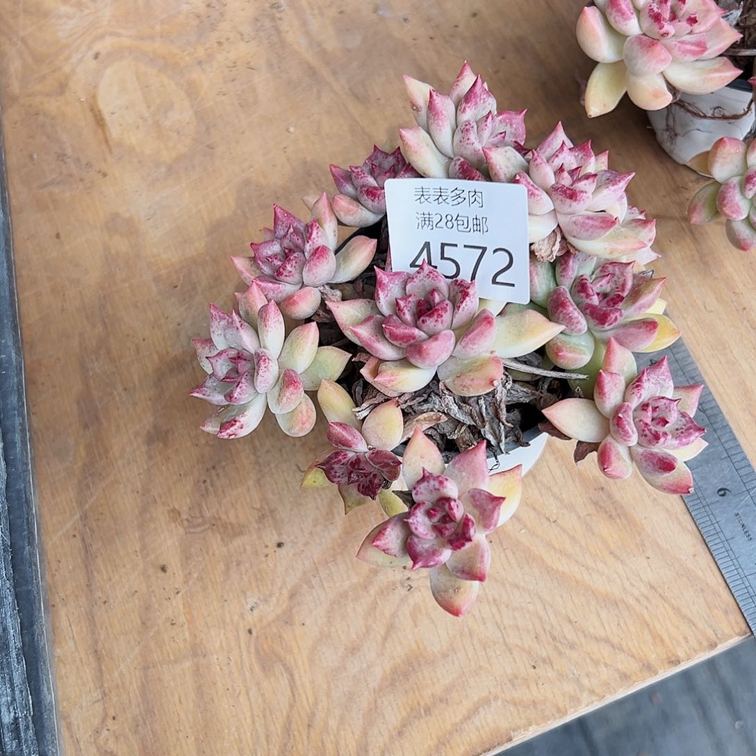 9号?***好我们的确是一4572