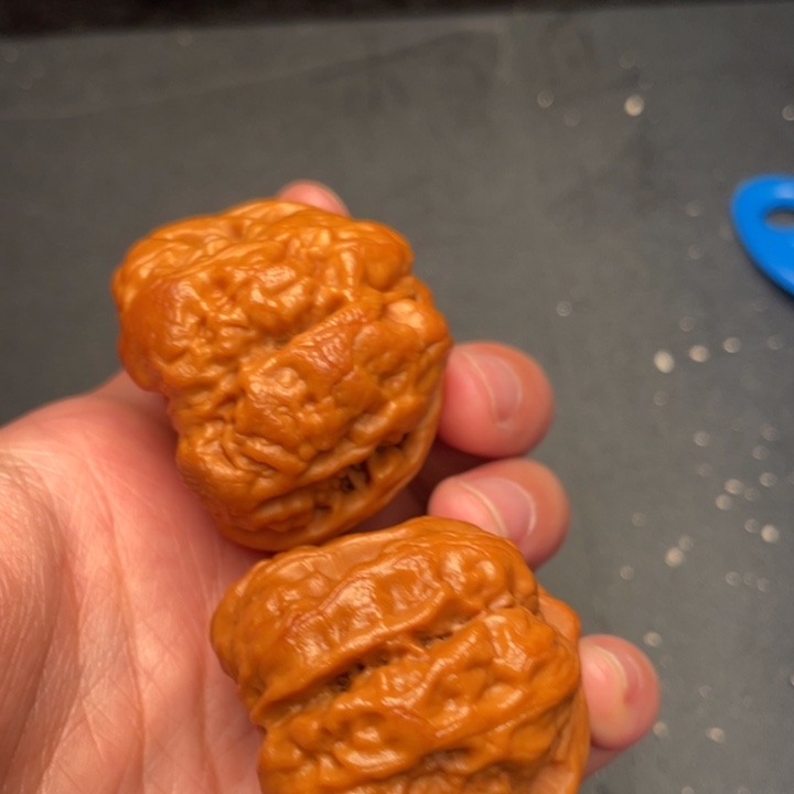 秦岭野生文玩核桃