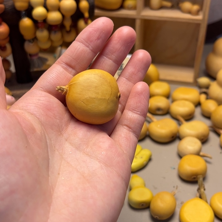 小***蛐扁葫芦葫芦葫芦葫芦