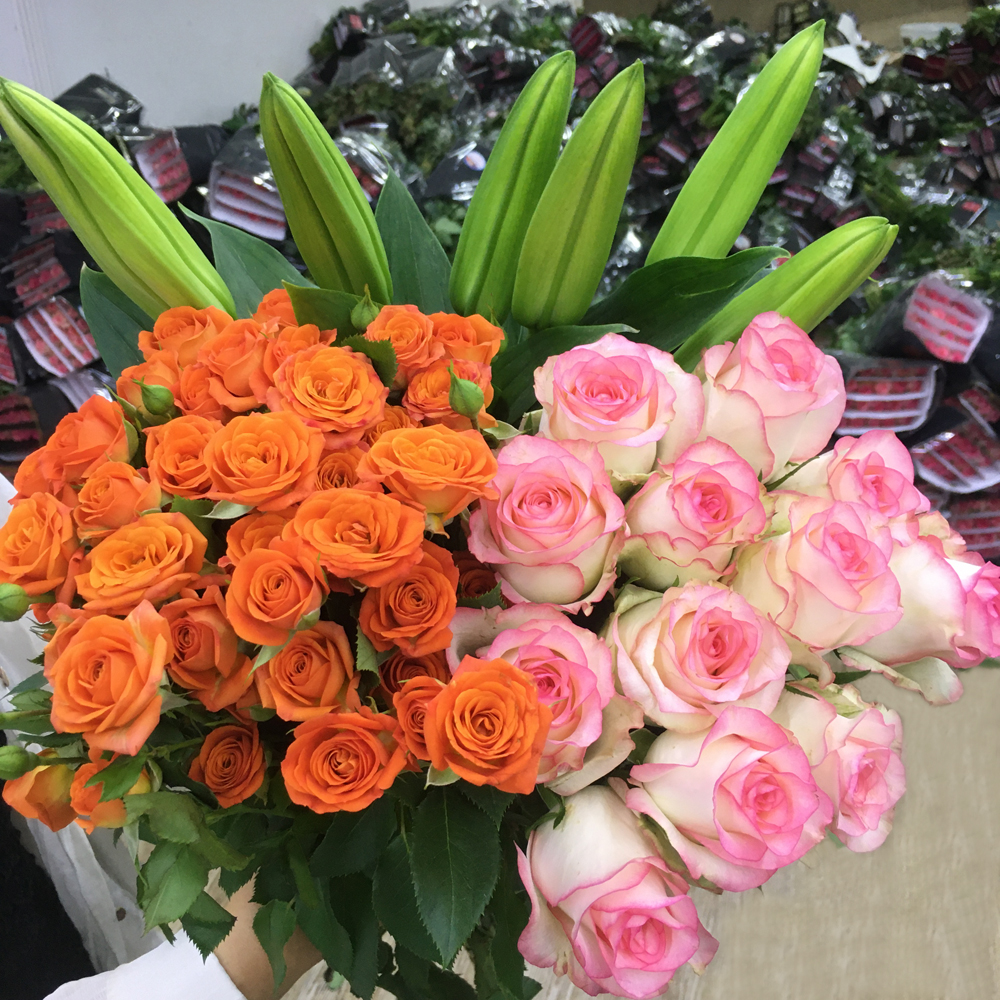 【玫瑰组合】单头玫瑰新鲜鲜花花束云南鲜花基地直发适合客厅装饰