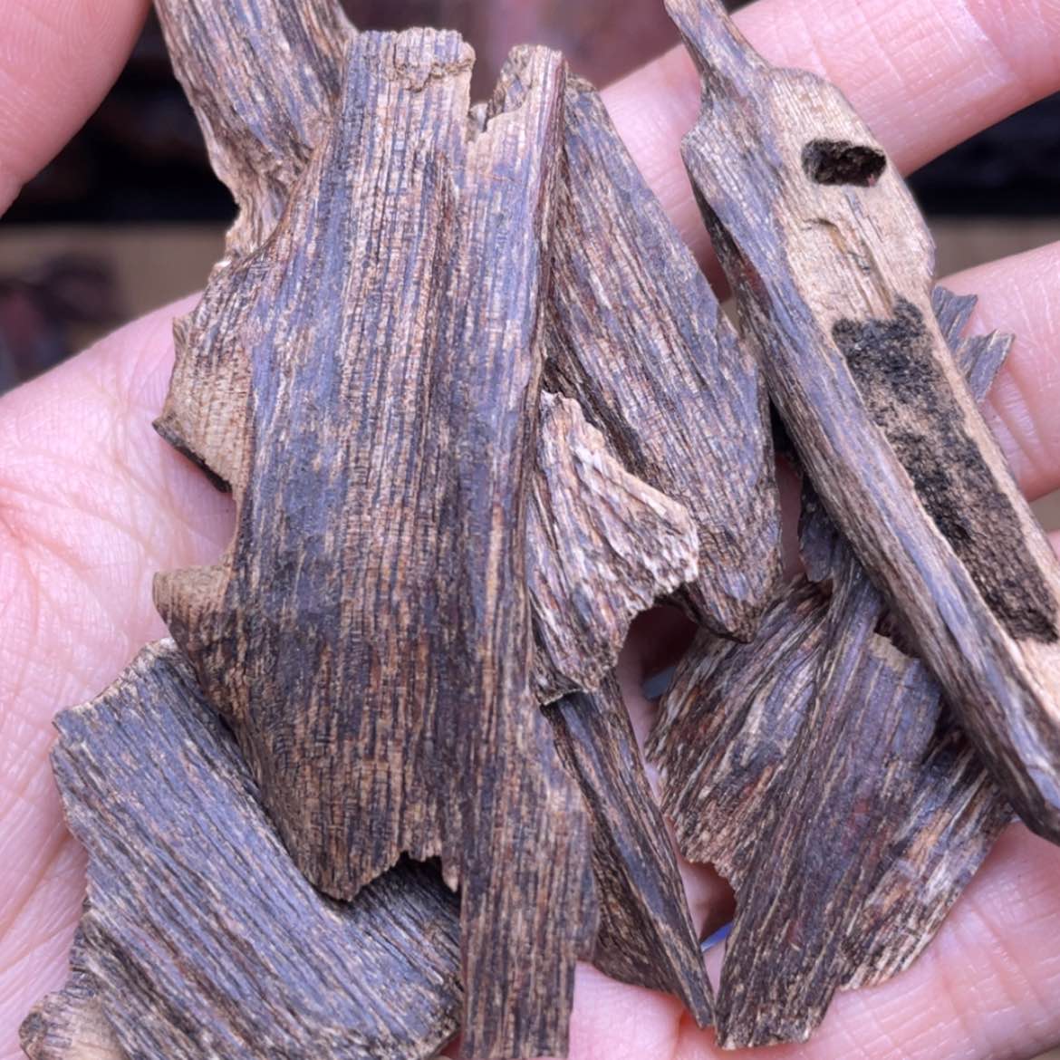 【闪购商品】香榧木海南尖峰岭树心10克