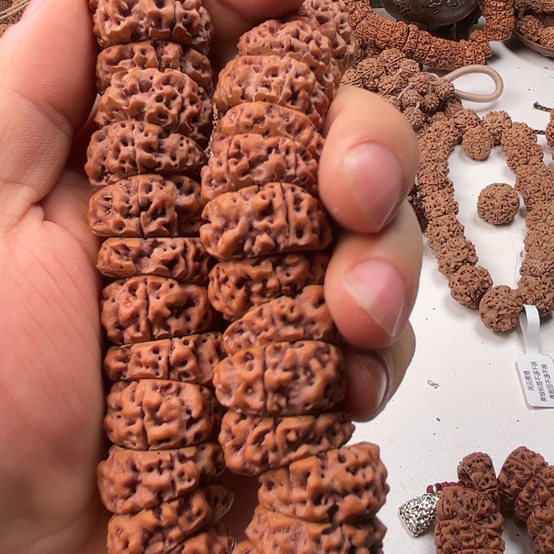 落***晖金刚菩提手串23大肠