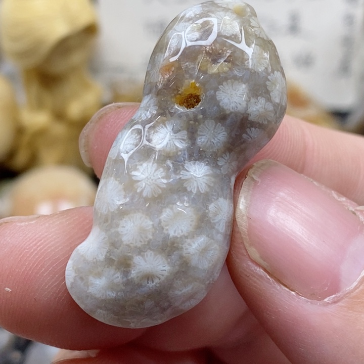 颈饰未镶嵌硅化珊瑚（珊瑚玉）有瑕