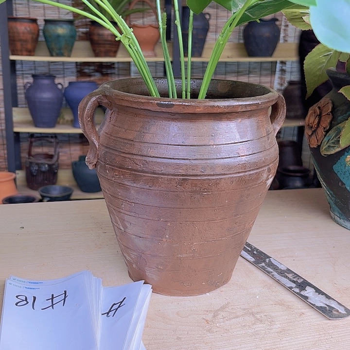 红陶191号19×16咖瑕