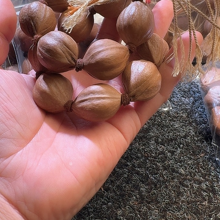 吊坠橄榄核2.2❌2.8