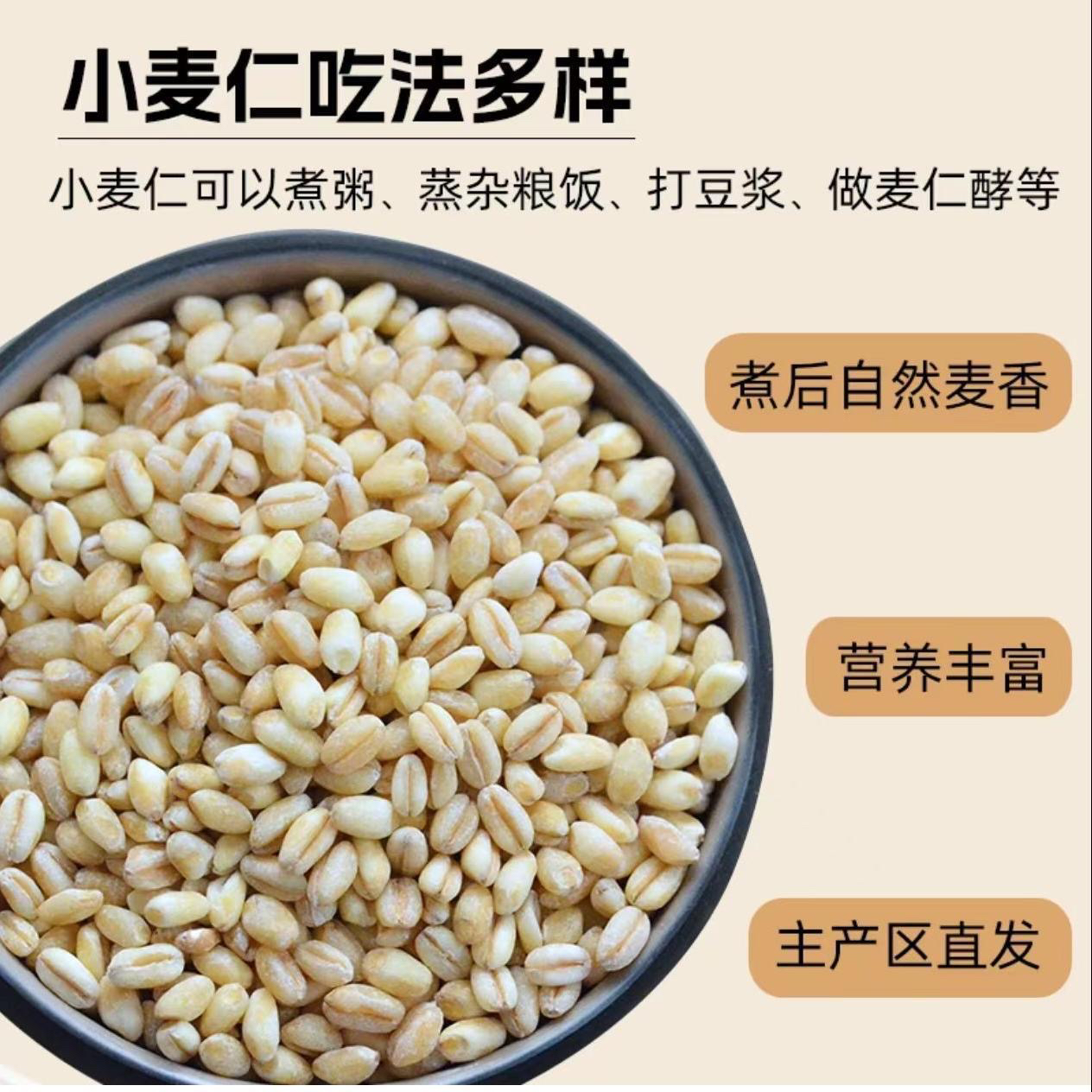 河南新去皮小麦仁脱皮小麦粒干净饱满可煮粥的杂粮