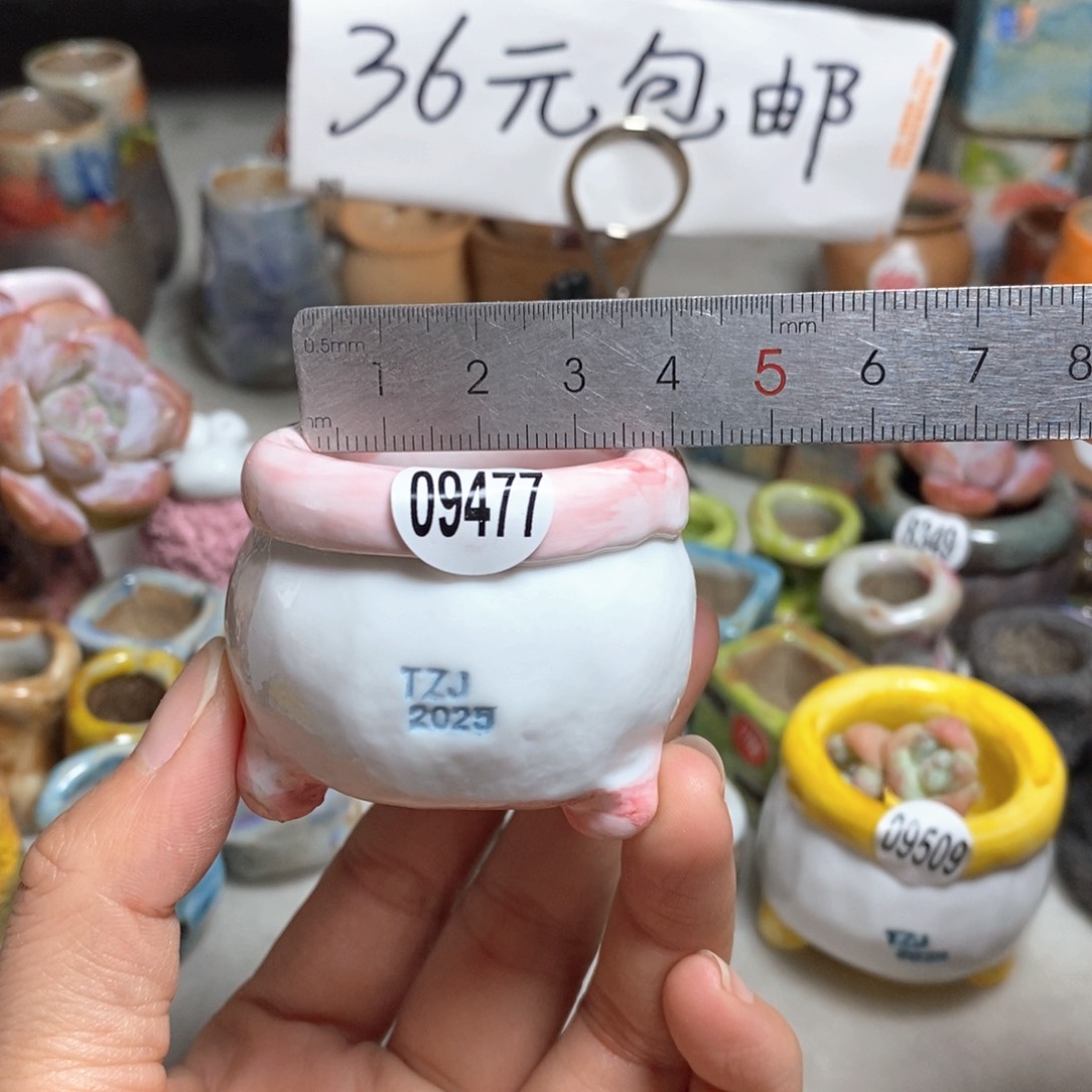 拍3送一个小礼物