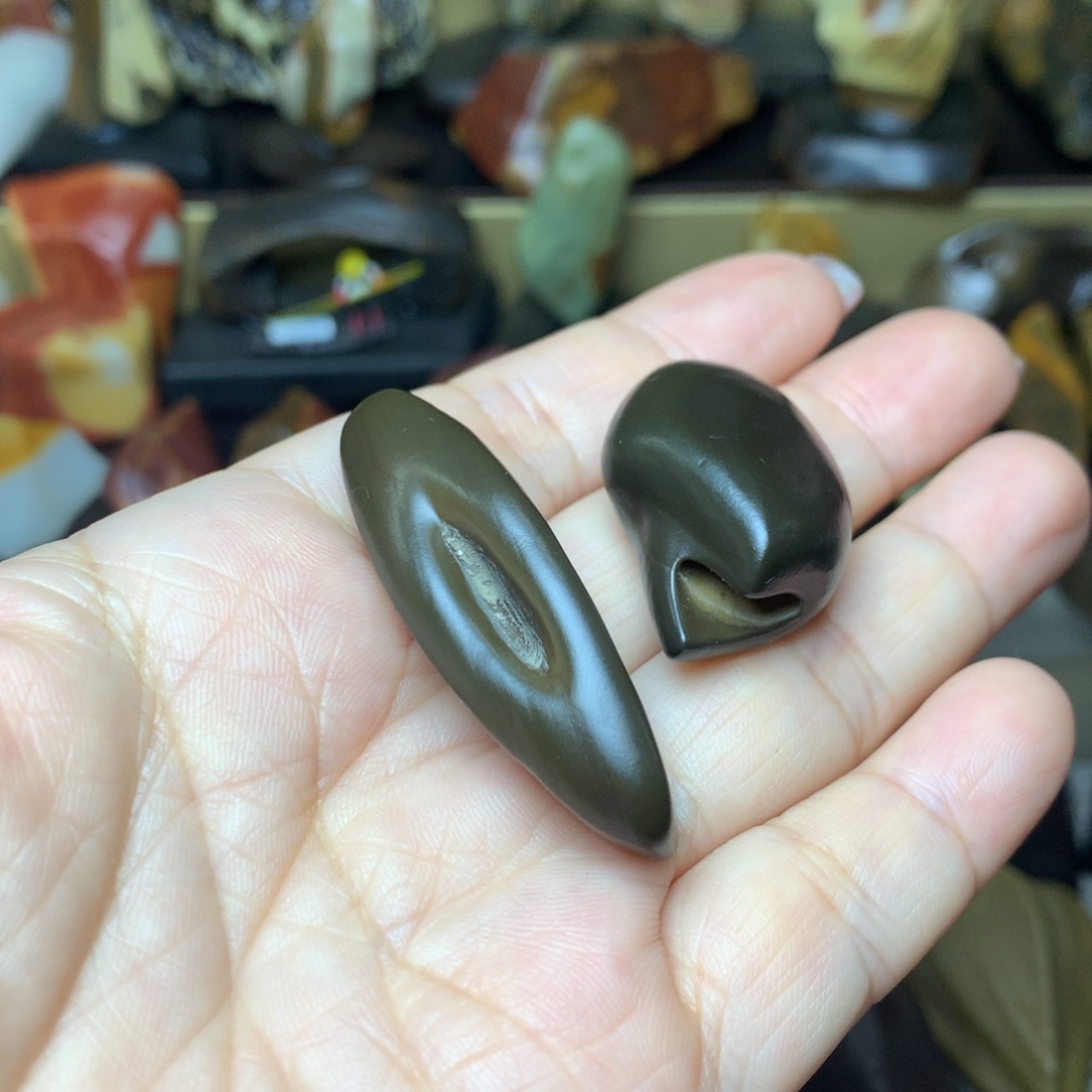 踢***鱼4568908653234569654