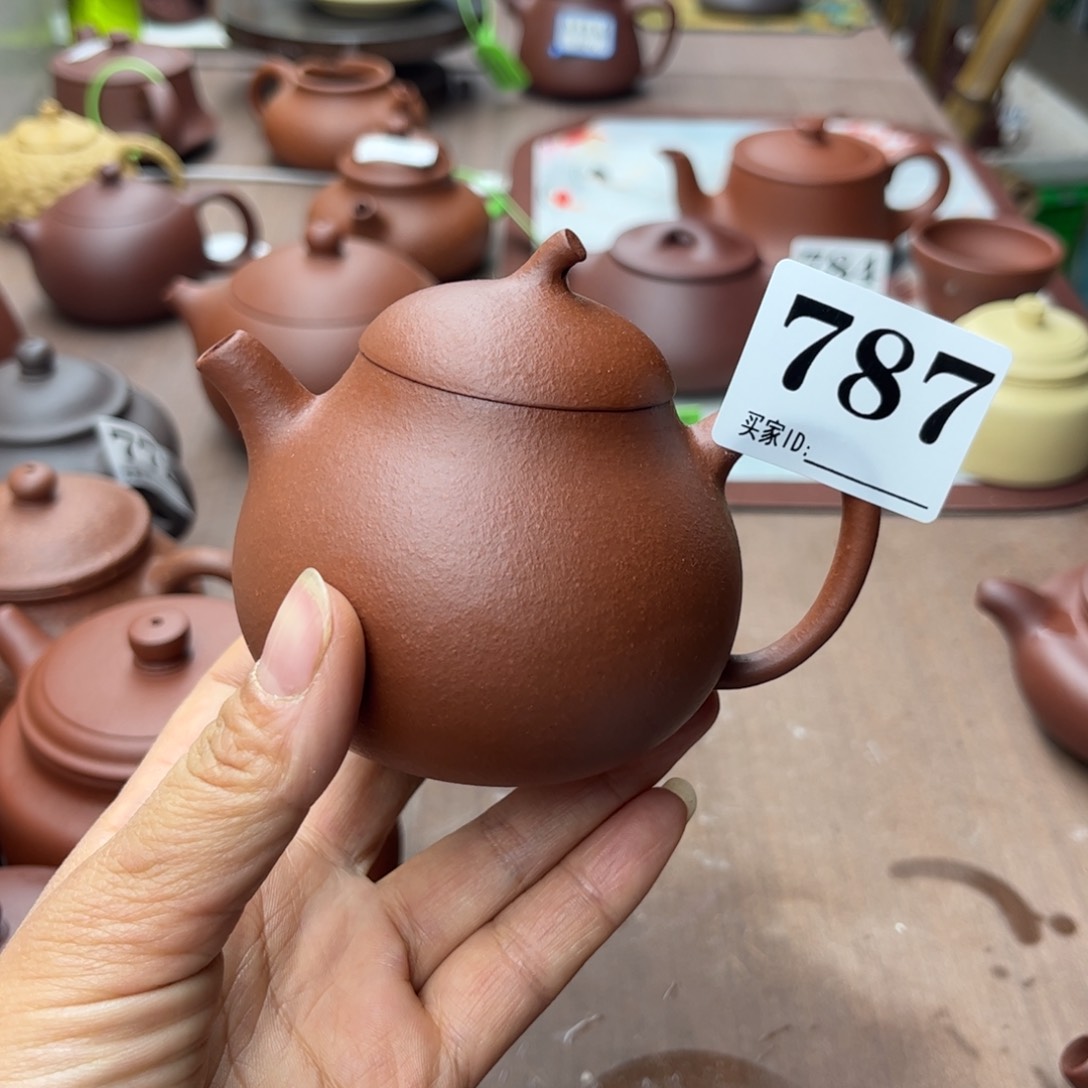 紫砂茶壶降坡泥半手170cc
