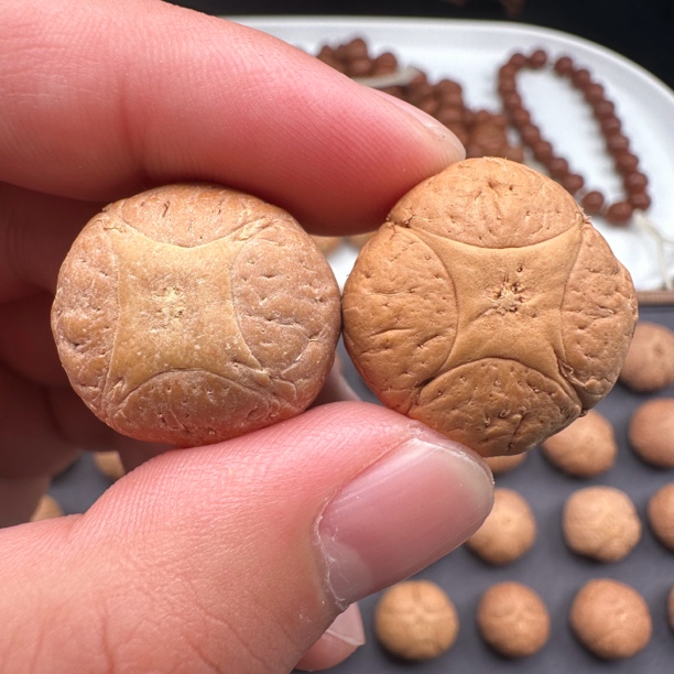 23mm尼泊尔麒麟菩提、一物一图、特价款