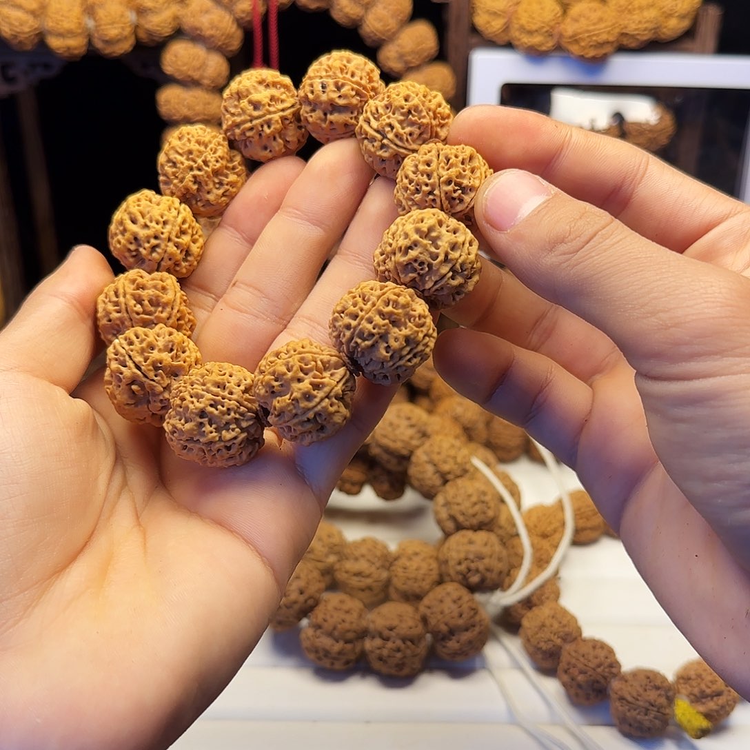 金刚菩提手串24双龙